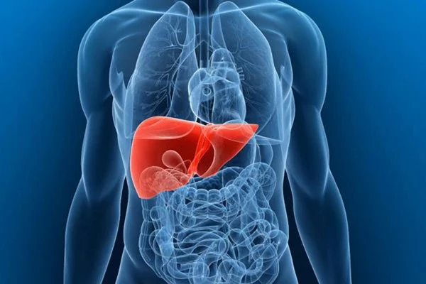 Penyakit Liver