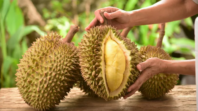 Rahasia Nutrisi Durian untuk Kesehatan Jantung dan Pencernaan
