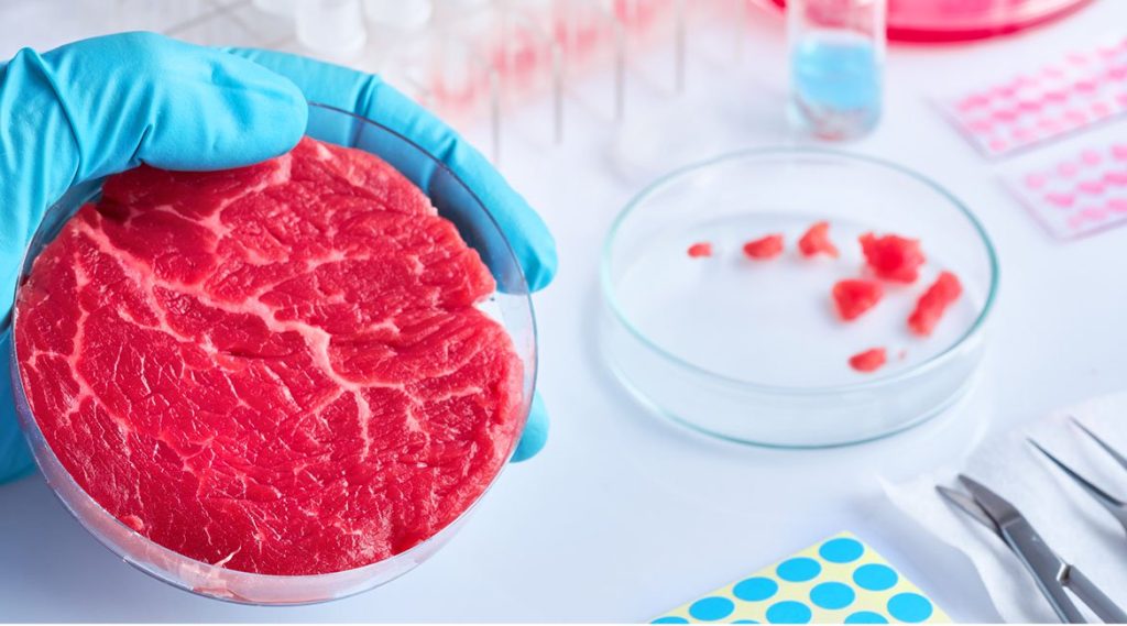 Daging Buatan Laboratorium Dengan Teknologi Cetak 3D